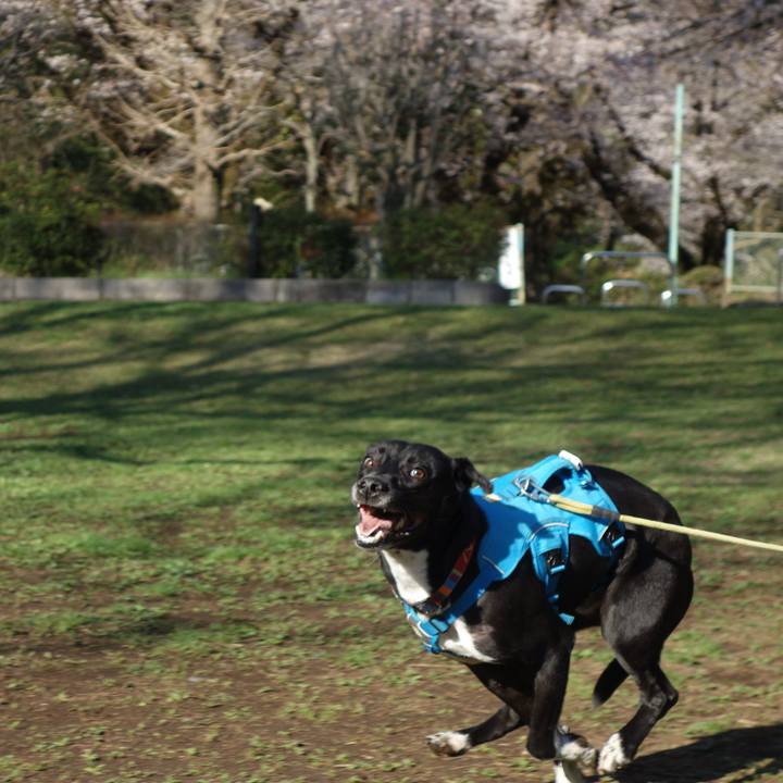 8a50a084 a897 4850 a6d1 460887e60163 1616460404689