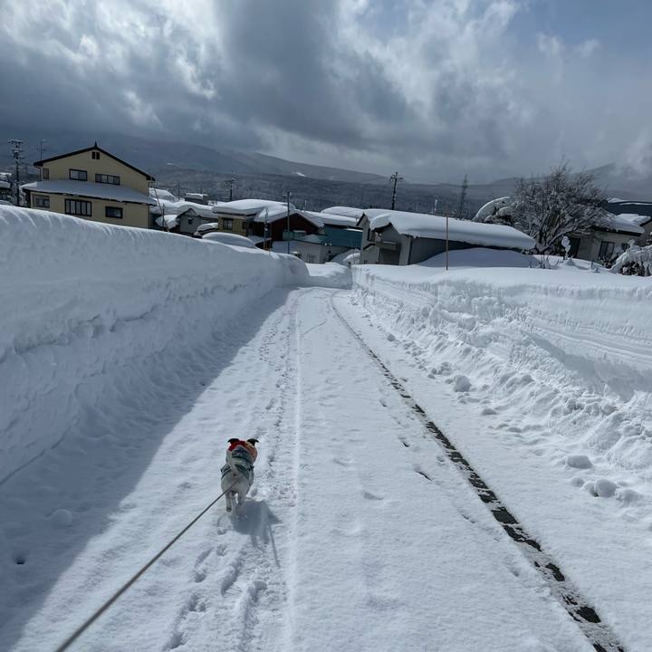 8a50b666 f7a7 436f a68c 964fe1bd3bfb 1645609186393