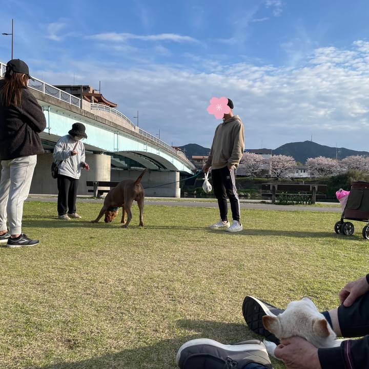 8a50cbde a61a 481e 904b 364bae83e6ad 1680410033917