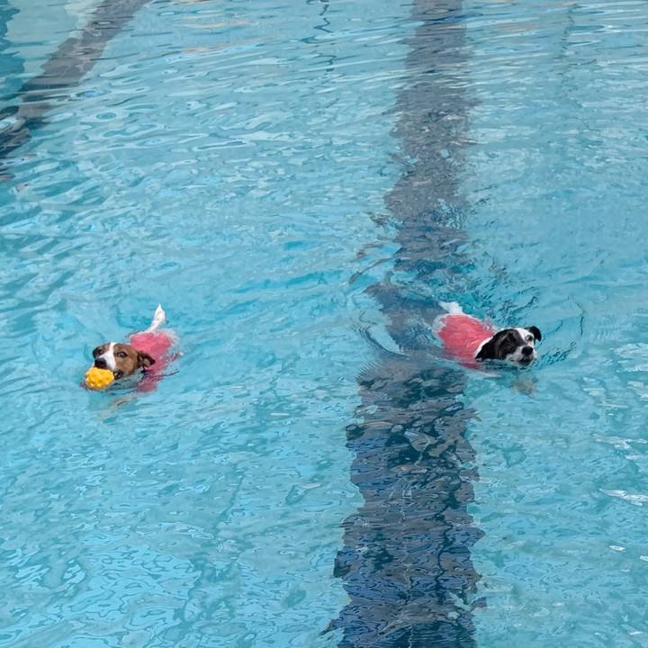 8a50d38e bc08 4a15 8eea df3cb81f7dcd 1699187454021