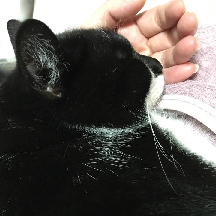 8a50eafa b52f 4f7c af29 d8ce9a270f6a 1577278690864