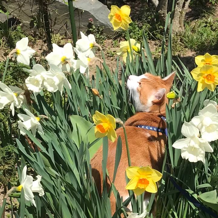 8a510c3a 38db 4743 a919 0004767ac24c 1524275721758