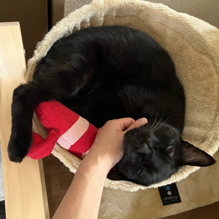 8a511541 7299 40ac b293 68fdf85c5f81 1695341467186