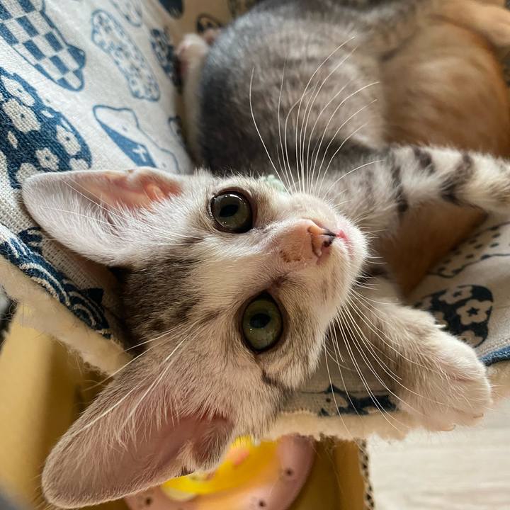 8a512a40 9743 48e5 a65b 7718ddaf72e7 1719371944795