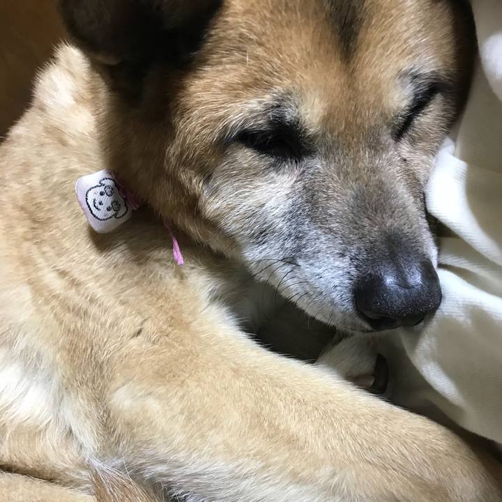 8a513466 99d0 4e27 8612 0c634a39bdae 1519915382518