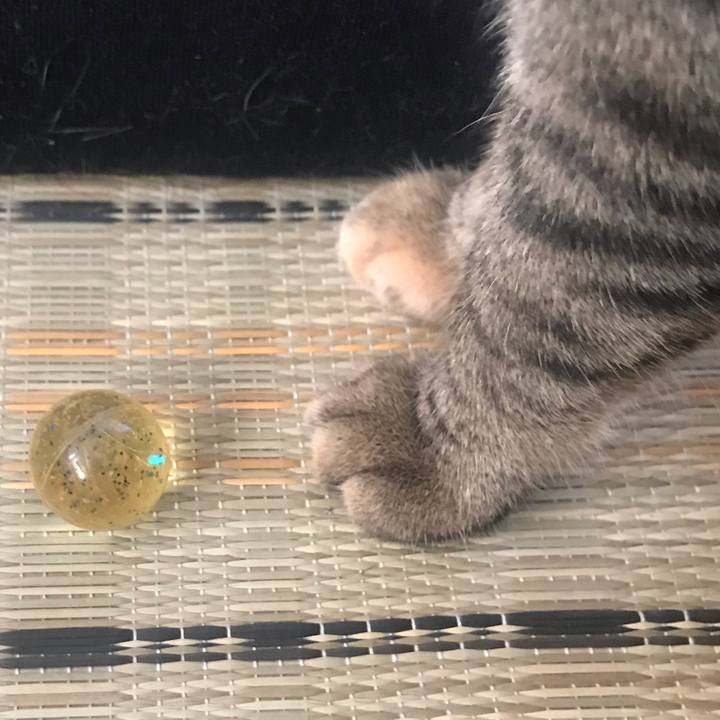 8a5141ca 8fb9 4316 ba35 d3bff684d229 1593389646321