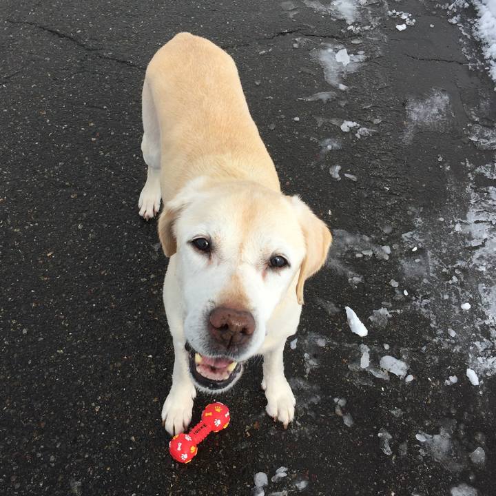 8a516588 19d3 445d bcf1 fbd0e54cc39d 1516675384658