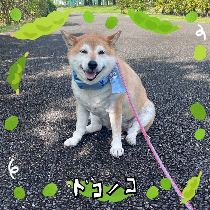 8a5183cc 8ed6 4ad4 bb94 6a6d0c9f446b 1720760566687