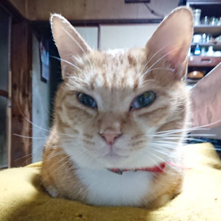 8a518ac4 ffd6 4849 a306 2ccf2460b29e 1570653533270