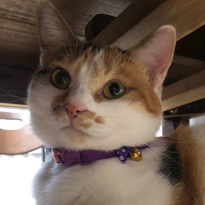 8a51c614 0da5 41da bc59 34e54c644d42 1602311326656