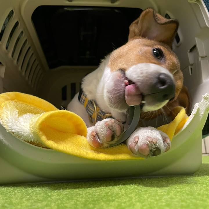 8a51d024 a0e9 46ff 801e 10704371b34b 1671355478122