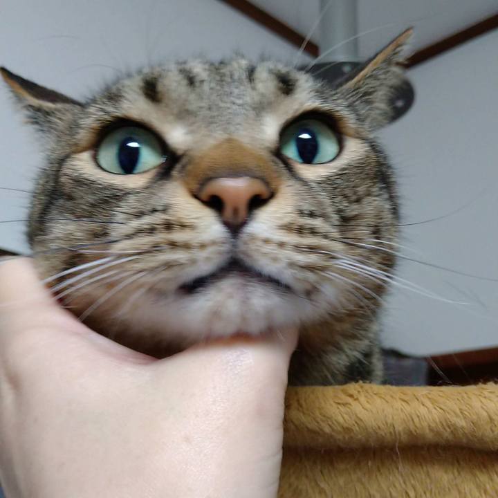 8a522ef6 0370 4043 b67a f125d902d537 1625737107014