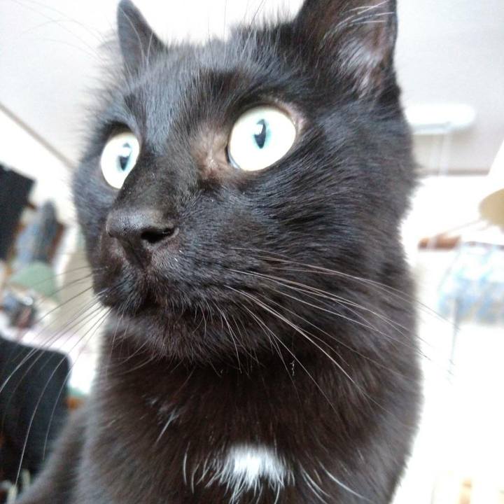 8a527b4f 9798 4274 af1d 2c468fbc7fbb 1613528478543