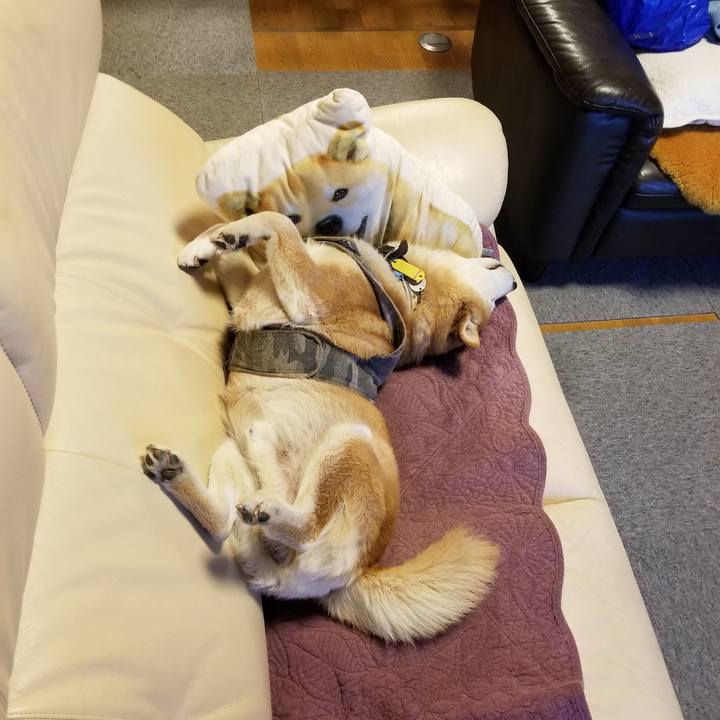 8a52a03c e6dc 4f6a ba15 768448197b4a 1645614370943