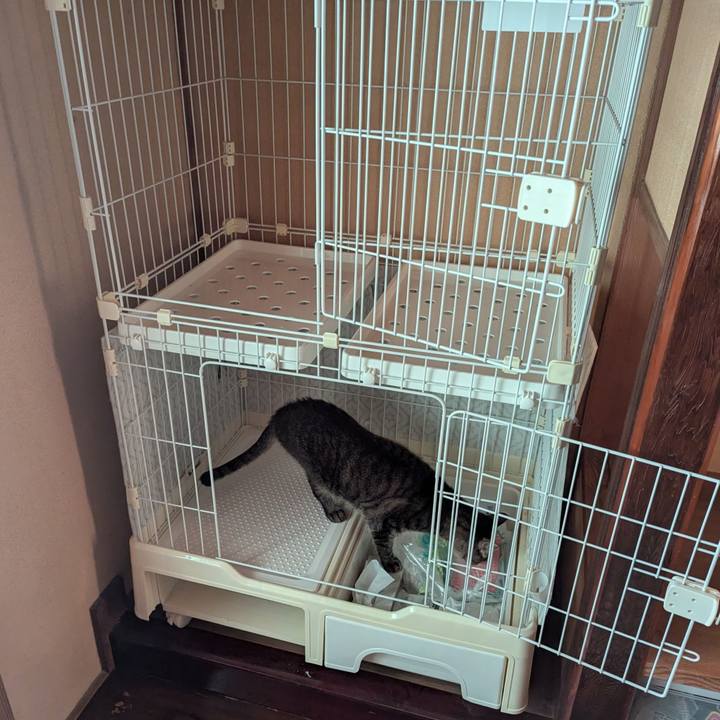 8a52a6fe 7f31 48e1 956e 8fac657fdbd7 1765534841309