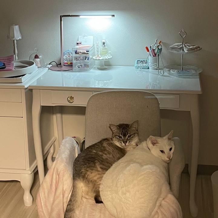 8a52bfe6 6656 4bf2 88f6 02c22c47e957 1680966330789