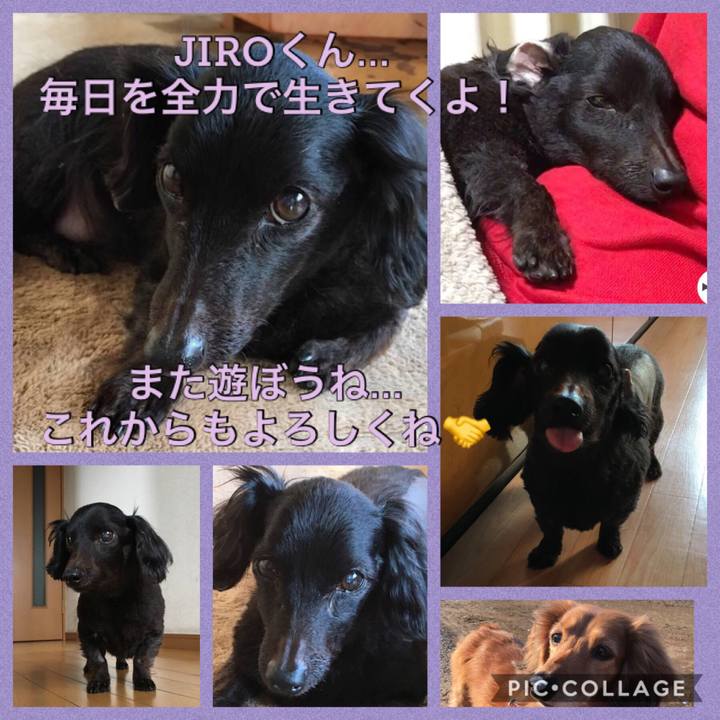 8a52d7a2 0aa4 4c60 a8ab 9ad6b260ae80 1557749525725