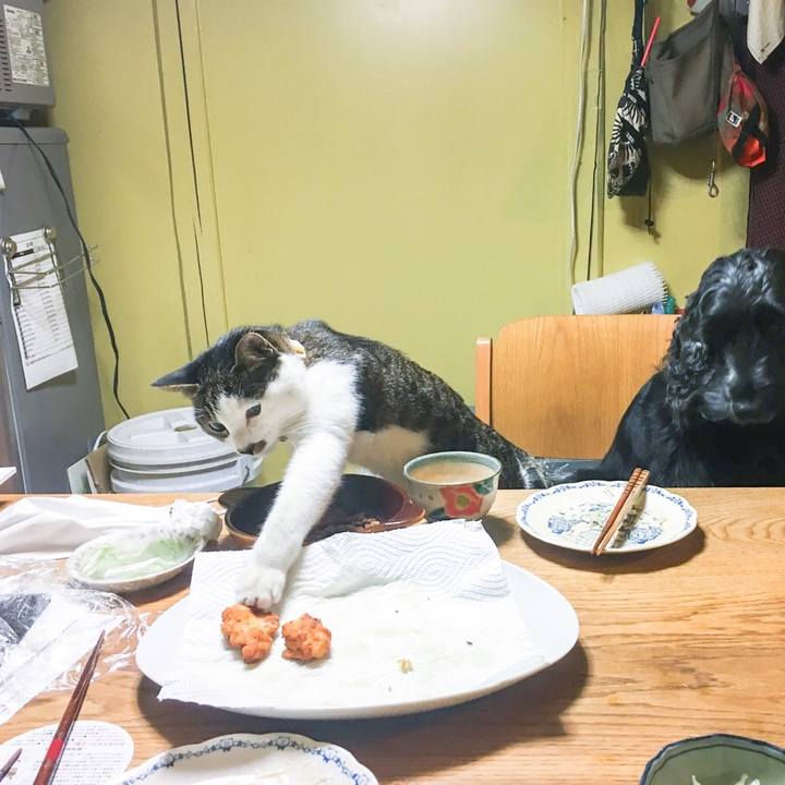 8a52e972 027f 46a6 9089 f5576afa5c8f 1509364838952