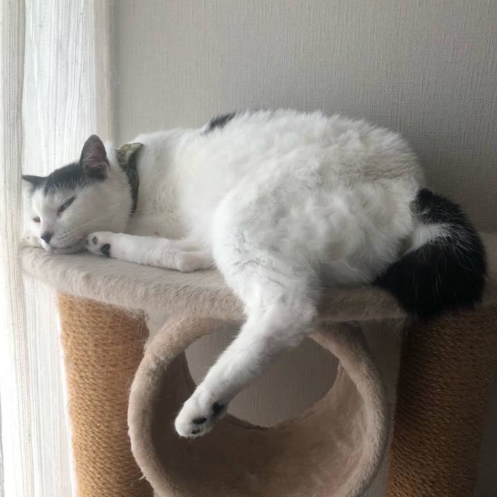 8a531f3b d63f 4907 8e51 6970dacaa91b 1569281438862