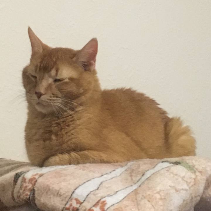 8a532b24 e640 4604 8a42 68494ce87d19 1635474575098