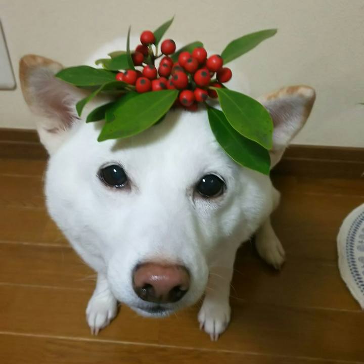 8a533461 e99e 41f0 9e98 3b6b69f75531 1572262065275