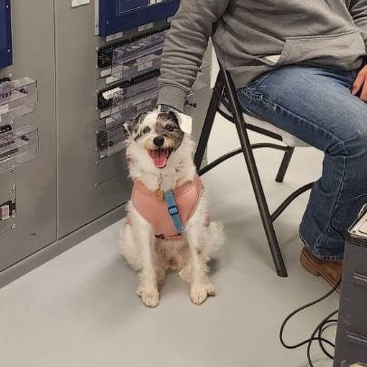 8a533617 31ca 4ccf 8ec6 46224b9567de 1731797925893