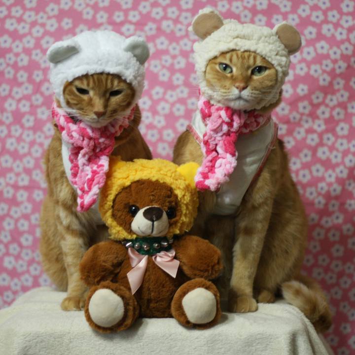 8a536613 b26a 40e9 b5b9 d2537b225241 1516025149319