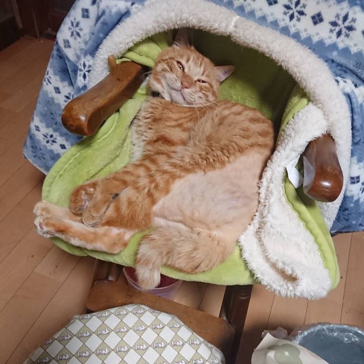 8a536b38 8730 4152 a789 48808eeee6be 1654947059448