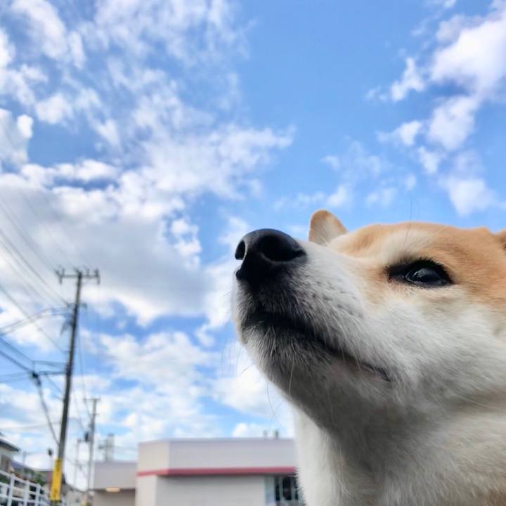 8a53a62b 69d6 41a4 9372 1a35b1792cef 1537275049079