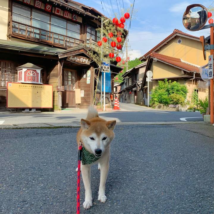 8a5435bd fca6 4a4b b88c 84d52c375312 1689495064936