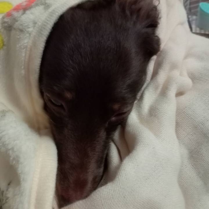 8a543e4c 5c9f 454f 9bf9 12b22c27d0eb 1762724928639