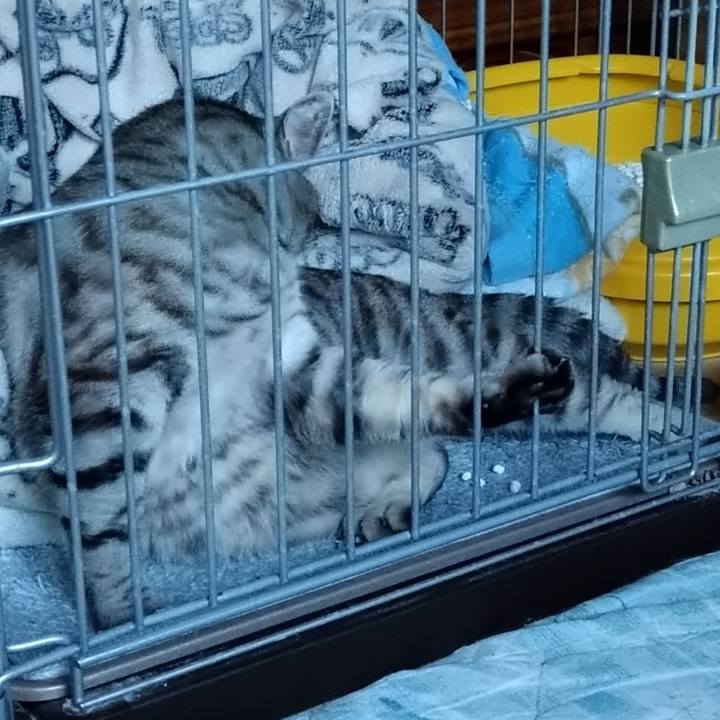 8a5464f3 2231 40ad 926a 4ec3075b9f63 1591523879849