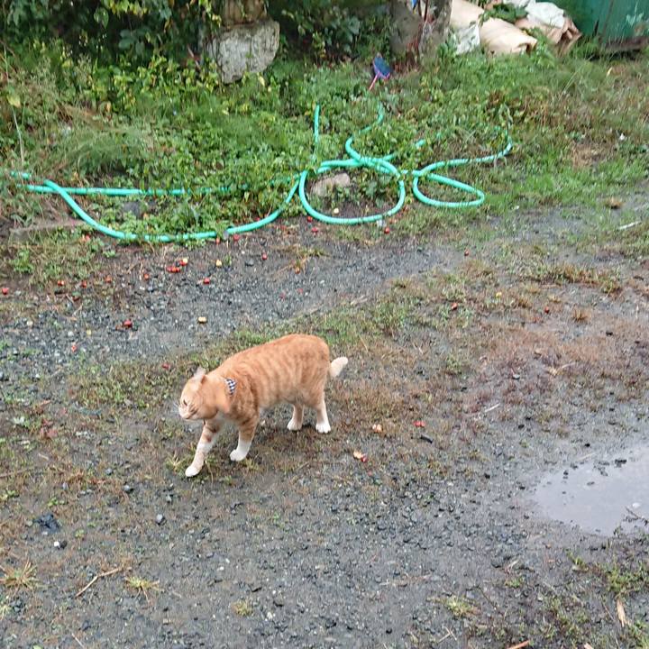 8a54969b 91c6 47d8 9102 b2365014c74b 1570315056764