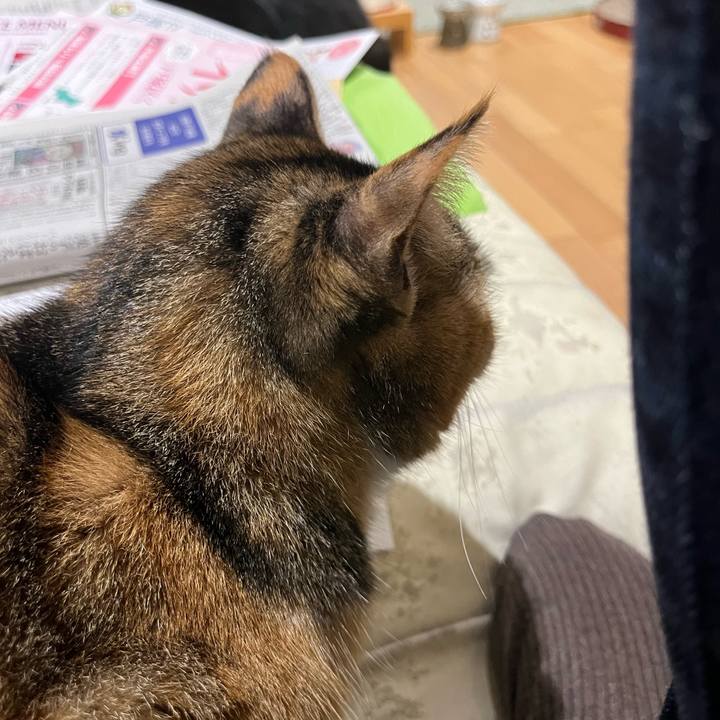 8a549d69 7971 4b46 8a4b 388ab24ab6bb 1711113594834