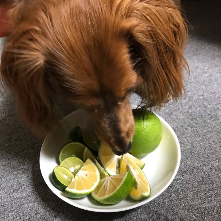 8a54fbd4 0b99 42a1 b8df 94fdf7d40e75 1568543199935