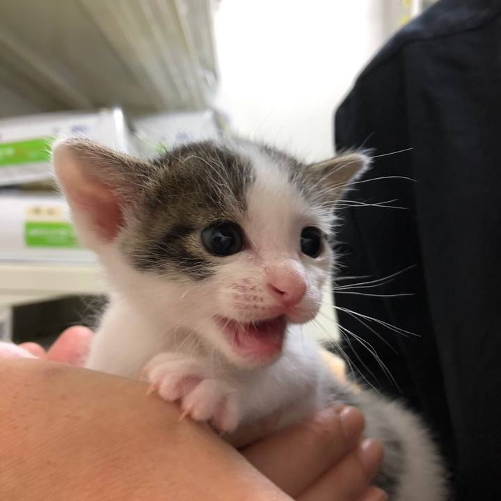 8a552594 582c 4945 8911 cdea57a53f96 1561517516194