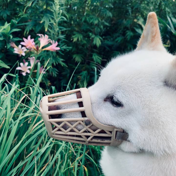 8a553029 6a6b 46dc b324 4474e828eeb9 1598478666202