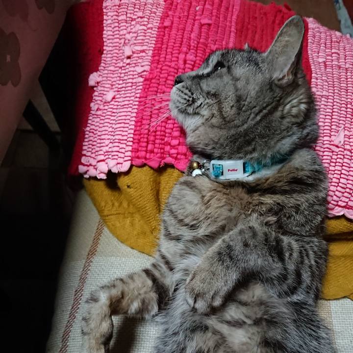 8a5548a9 9017 4053 b248 7634f39e7b38 1553418164751