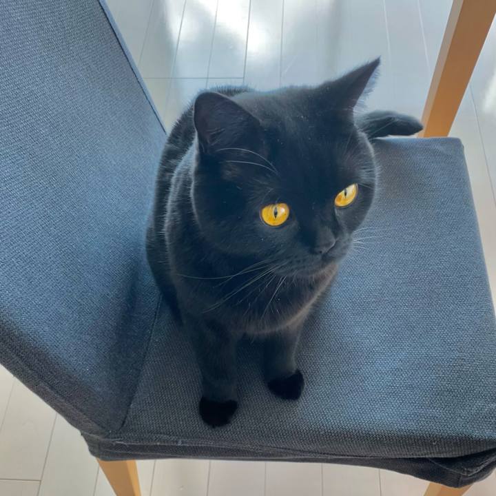 8a557446 c47f 4de7 b177 c6e31e9d1b5b 1610348784615