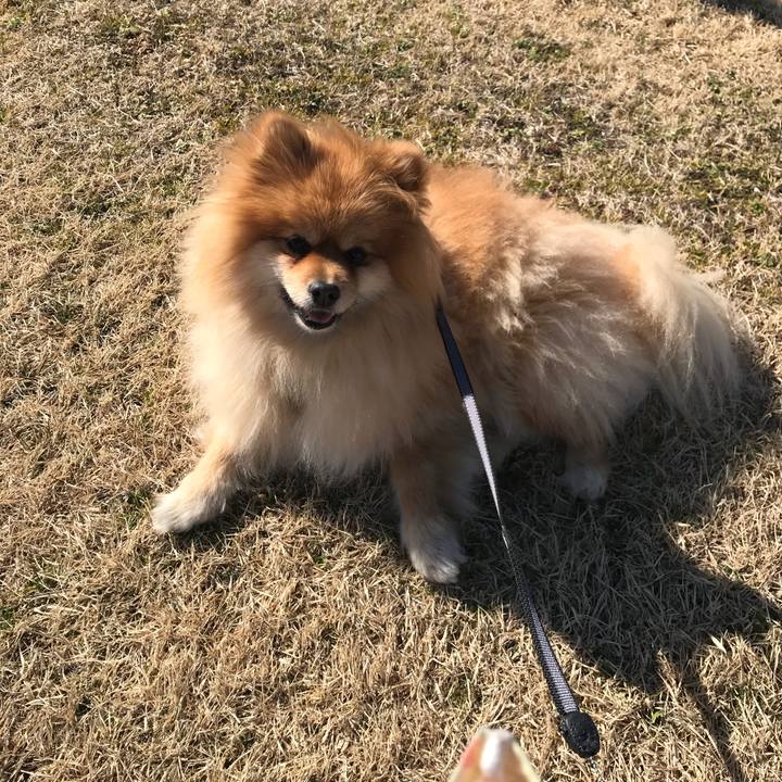 8a558fcc 56b0 4358 ae8b 5f8128d63c59 1518491146421