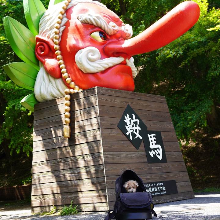 8a55a856 9692 4d1f afa5 31590b54aae4 1683329414249