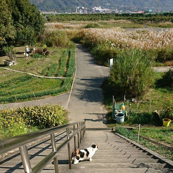 8a55b76f a6bb 40f5 b668 59475e942a13 1542889207586