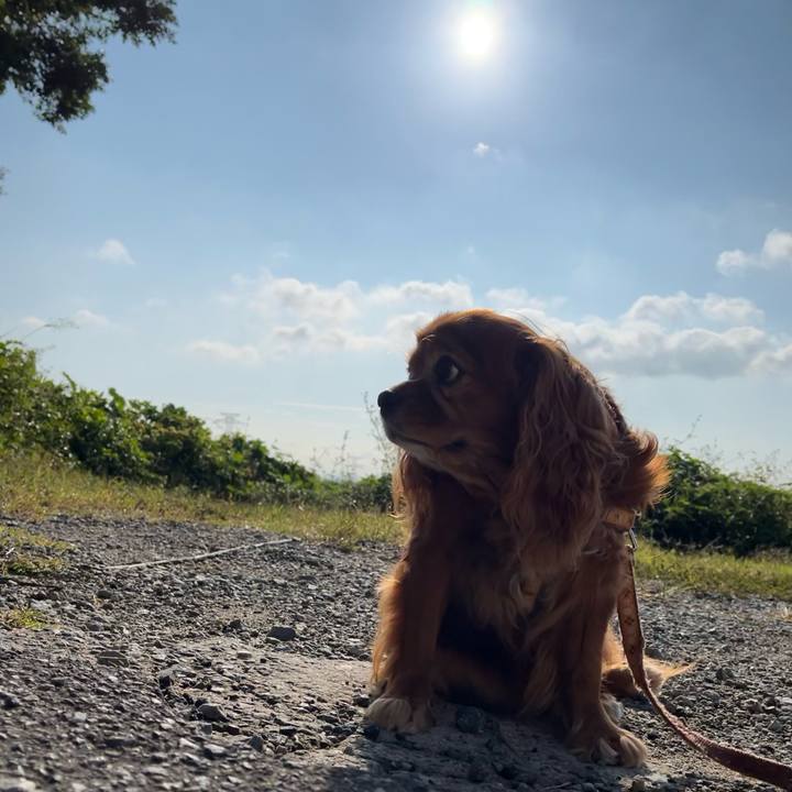 8a55cedb 7e37 47f9 84d0 4de9c63ebea6 1697328455658