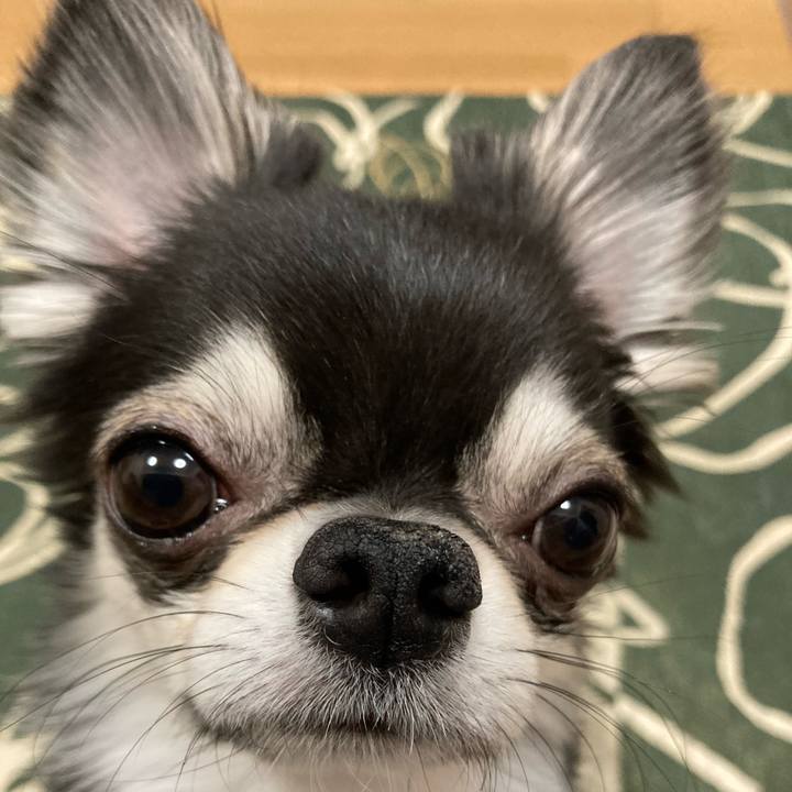 8a55f5a5 2ced 46b5 87ec 5bdb4800cfd1 1645623639840