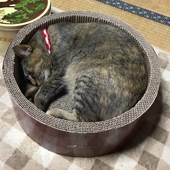 8a55fbe2 8053 4070 b2d6 5da31b0bb7bc 1606295106146