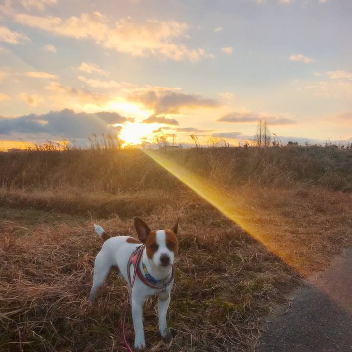 8a55ff0e 0722 4f35 931c 9259de197103 1517317247437