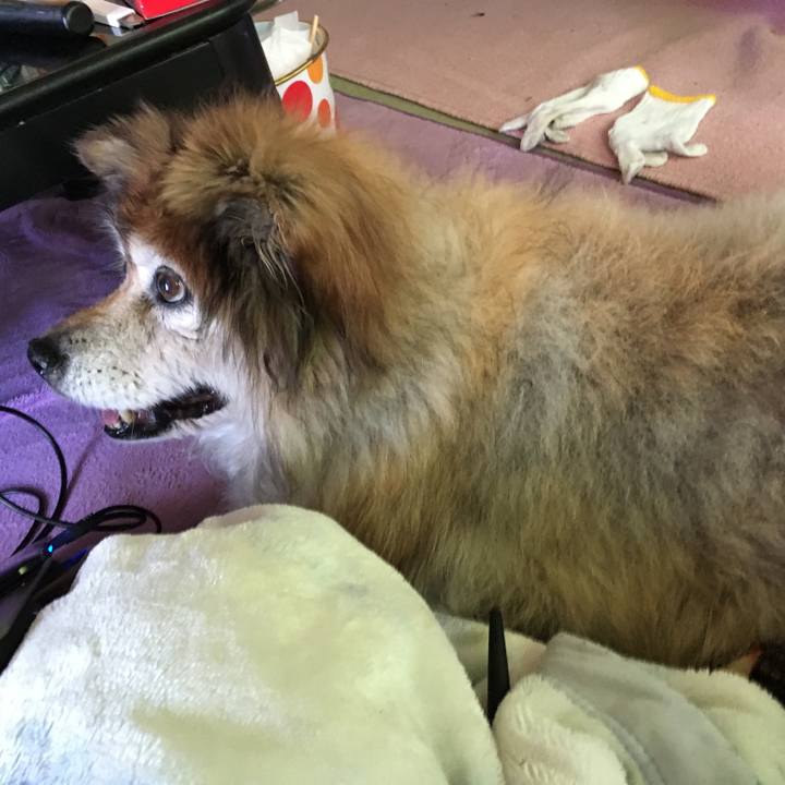 8a5603e8 238b 4522 8ec3 f5c7a1453e2c 1561814713855