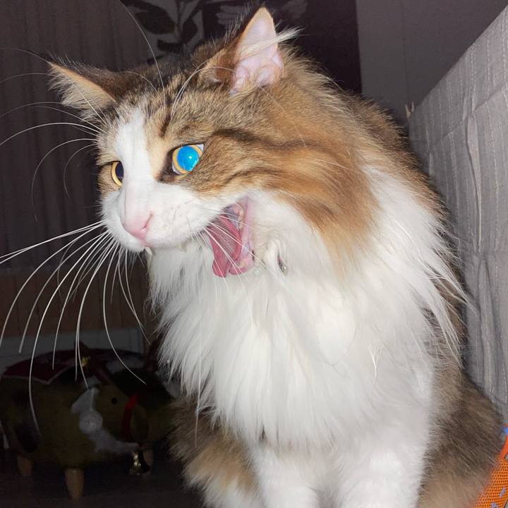 8a561385 0462 41b6 8357 e542574a1105 1699298155818