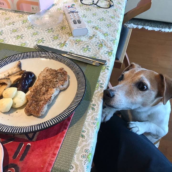 8a561e5a 2e42 4f4a a74f 1c90d93e4904 1556874232772