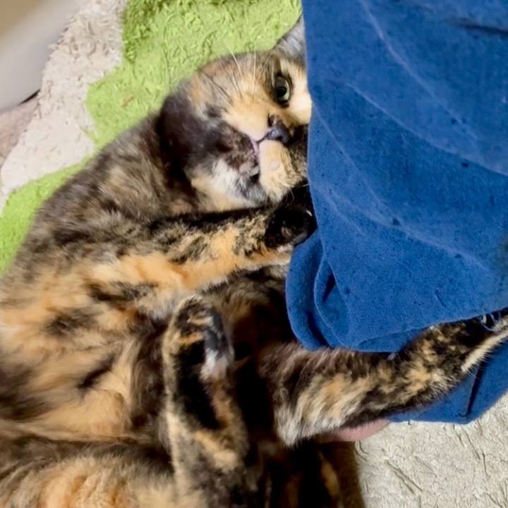 8a566ef1 6cf9 4803 9fa4 b380416c1431 1763635344980